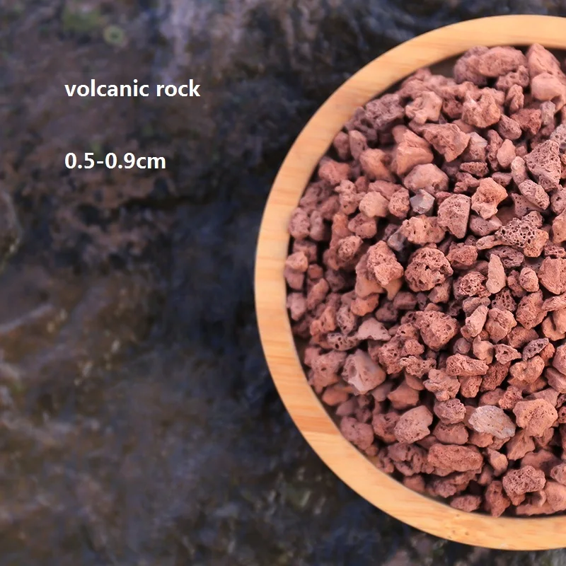 Volcanic rocks-100018786