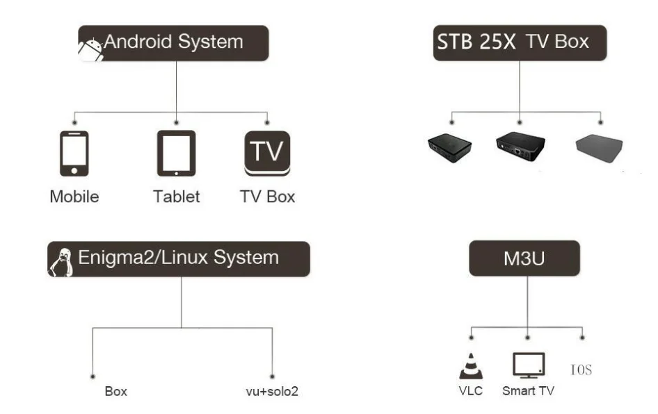 IPTV панель с кредитами содержит 7000+ Live для IPTV реселлеров IPTV M3U Германия IPTV французский IPTV