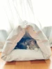 Pet Products