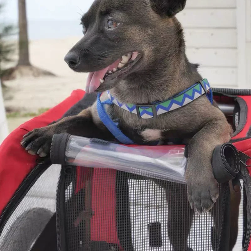 Двухколесный велосипед ALWAYSME трейлер для домашних животных детская коляска