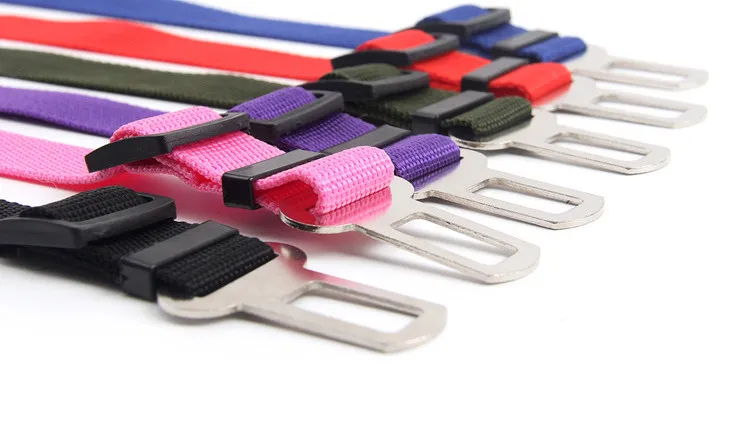 3069022864_1693295712