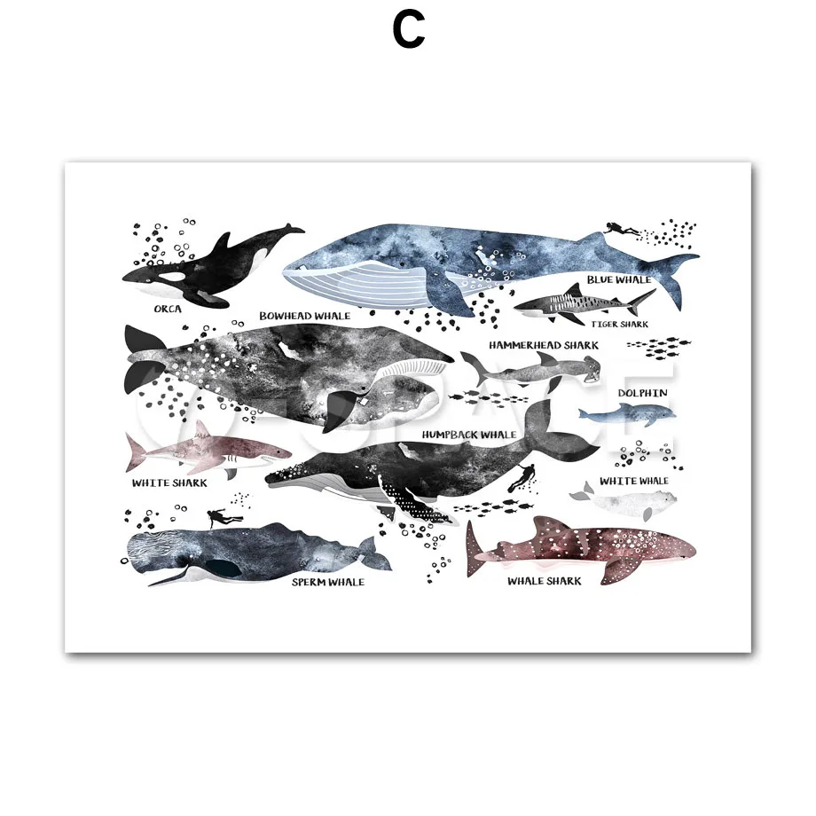 Кит Акула динозавр мультфильм животное скандинавские Постеры-холсты и принты стены Художественная печать на холсте живопись настенные картины детская комната - Цвет: C