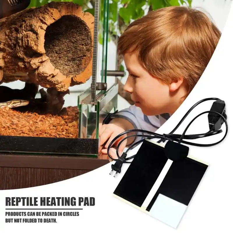 portable reptile heater