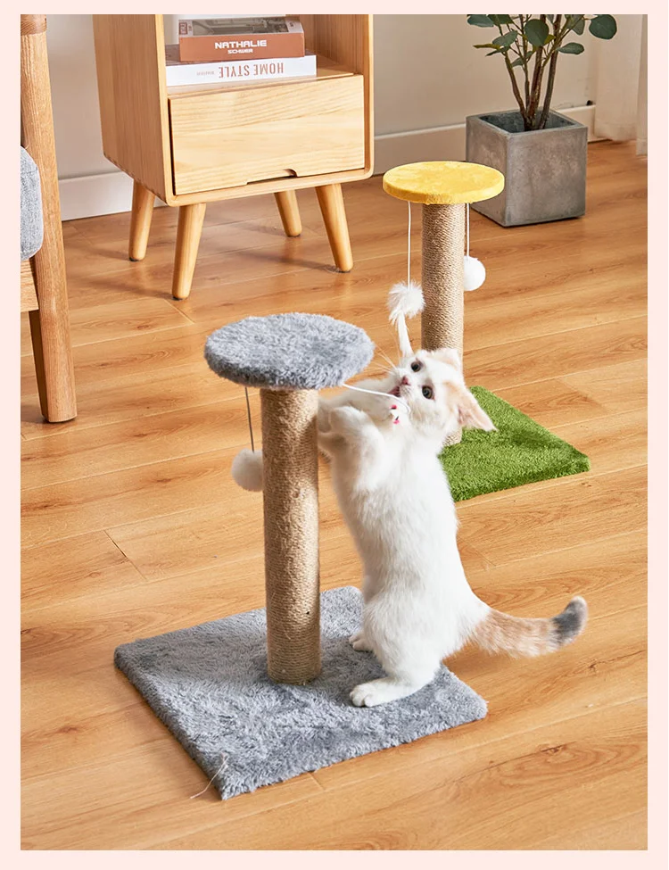 Hafa778eeed334feca9cee0cf3af56a6cy