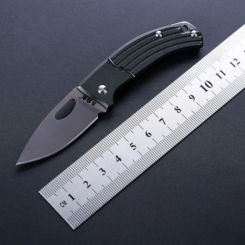 

Sanrenmu 4110 Folding Pocket Mini Knife for Camping Outdoor Travel and Survival
