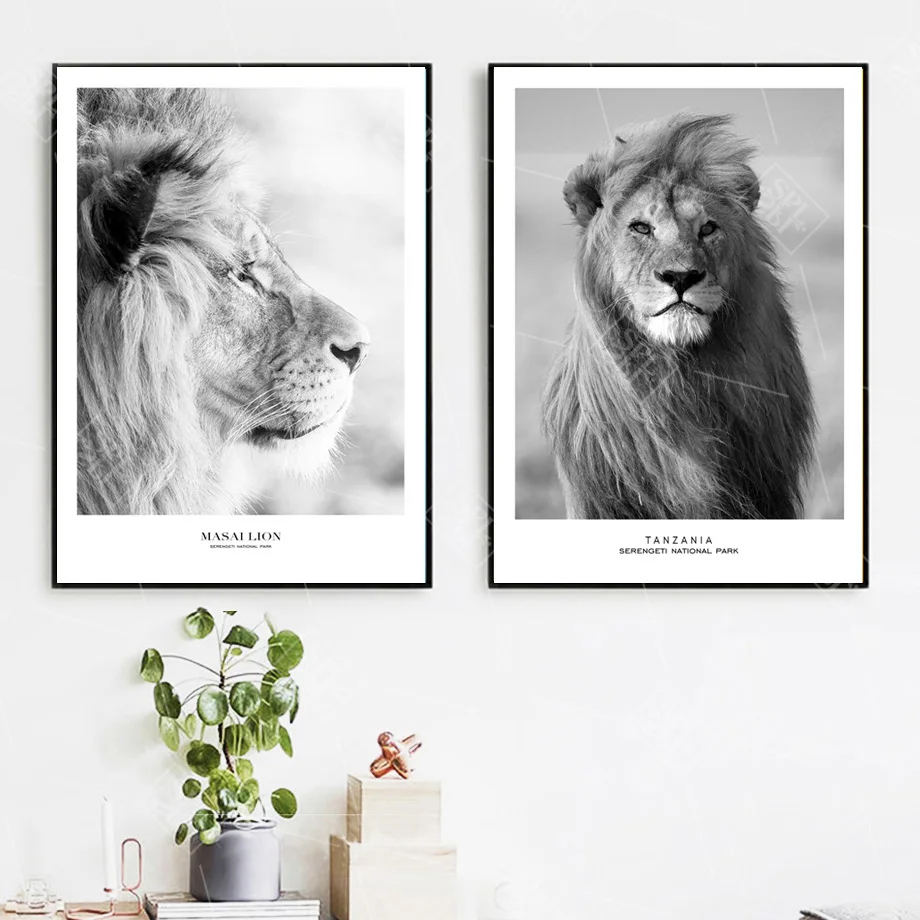 

SPLSPL Masai Lion Wild Animals Posters and Prints Black and White Painting Hd Print on Canvas Wall Picture for Kids Room Decor