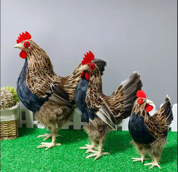 Имитация курицы модель животного стоящая Курица Перо игрушка кукла Ремесла образование дисплей фотография украшение супермаркетов реквизит