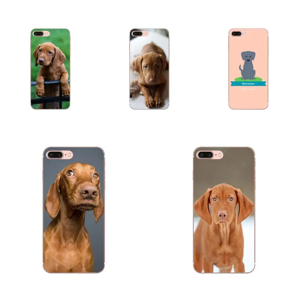 Милые венгерский собака vizsla щенка для Galaxy Alpha Note 10 Pro A10 A20 A20E A30 A40 A50 A60 A70 A80 A90 M10 M20 M30