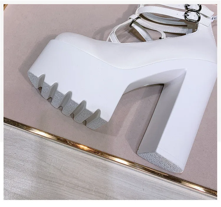 17167870619_81353897