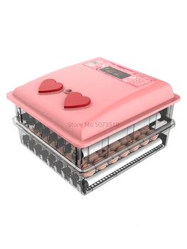 

Intelligent Chicken Fry Hatching Box for Incubator Small-sized Full-automatic Machine Egg