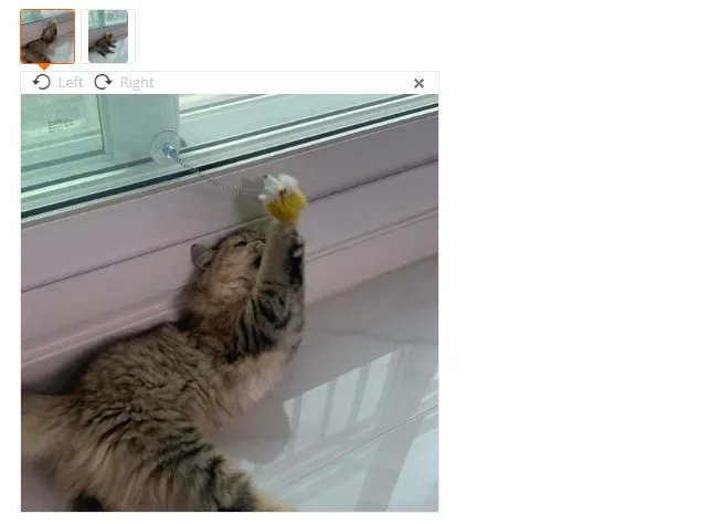 Dingtalk_20201212152039