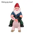 Riding pig dwarf