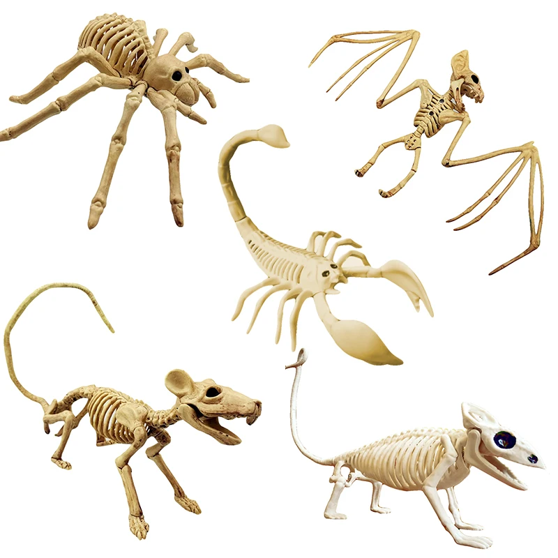 

New Bat/Spider Skeleton Skull Animal Skeleton Model Bat Bones Creepy Halloween Party Decoration Fun Bone Skeleton Hot Sale