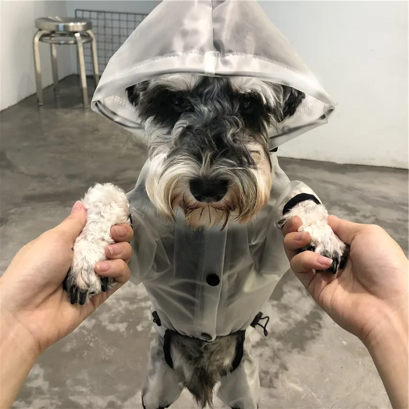 HTB1Fb37XUvrK1RjSspcq6zzSXXah