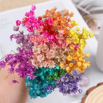 

30Pcs Beautiful Vivid Mini Daisy Small Star Dried Flowers Floral Bouquets Natural Plants DIY Crafts Wedding Supplies Home Decor