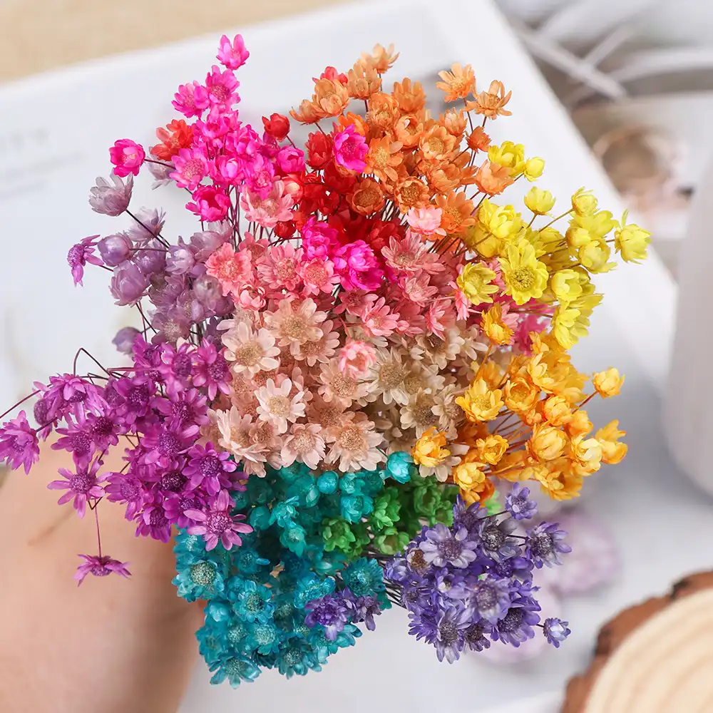 30pcs Beautiful Vivid Mini Daisy Small Star Dried Flowers Floral Bouquets Natural Plants Diy Crafts Wedding Supplies Home Decor Artificial Dried Flowers Aliexpress