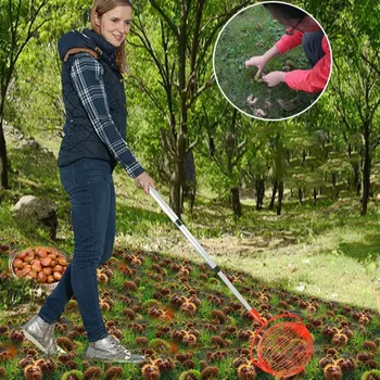 

Walnuts Chestnuts Harvester Roller Nut Collector Retractable Aluminum Alloy Ball Garden Fruit Picker Family Orchards Tool