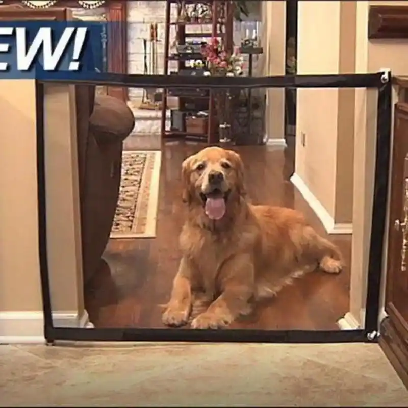 buy dog gate