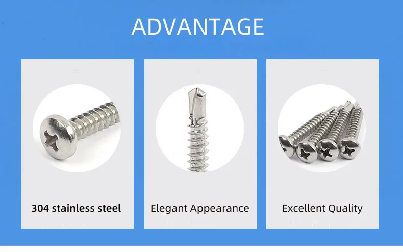 Pan head drilling screw detail 1