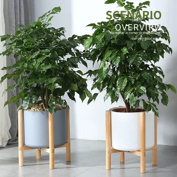 

Adjustable Plant Stand Plant Holder Rack Multi-functional Shoe Storage Holder Bench Indoor Outdoor TSH Shop