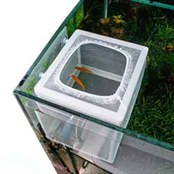 

White Fine Mesh Fish Tank Hatching Isolation Spawning Box Isolation Board Sucker Fish Tank Small Fish Isolation Breeding Box
