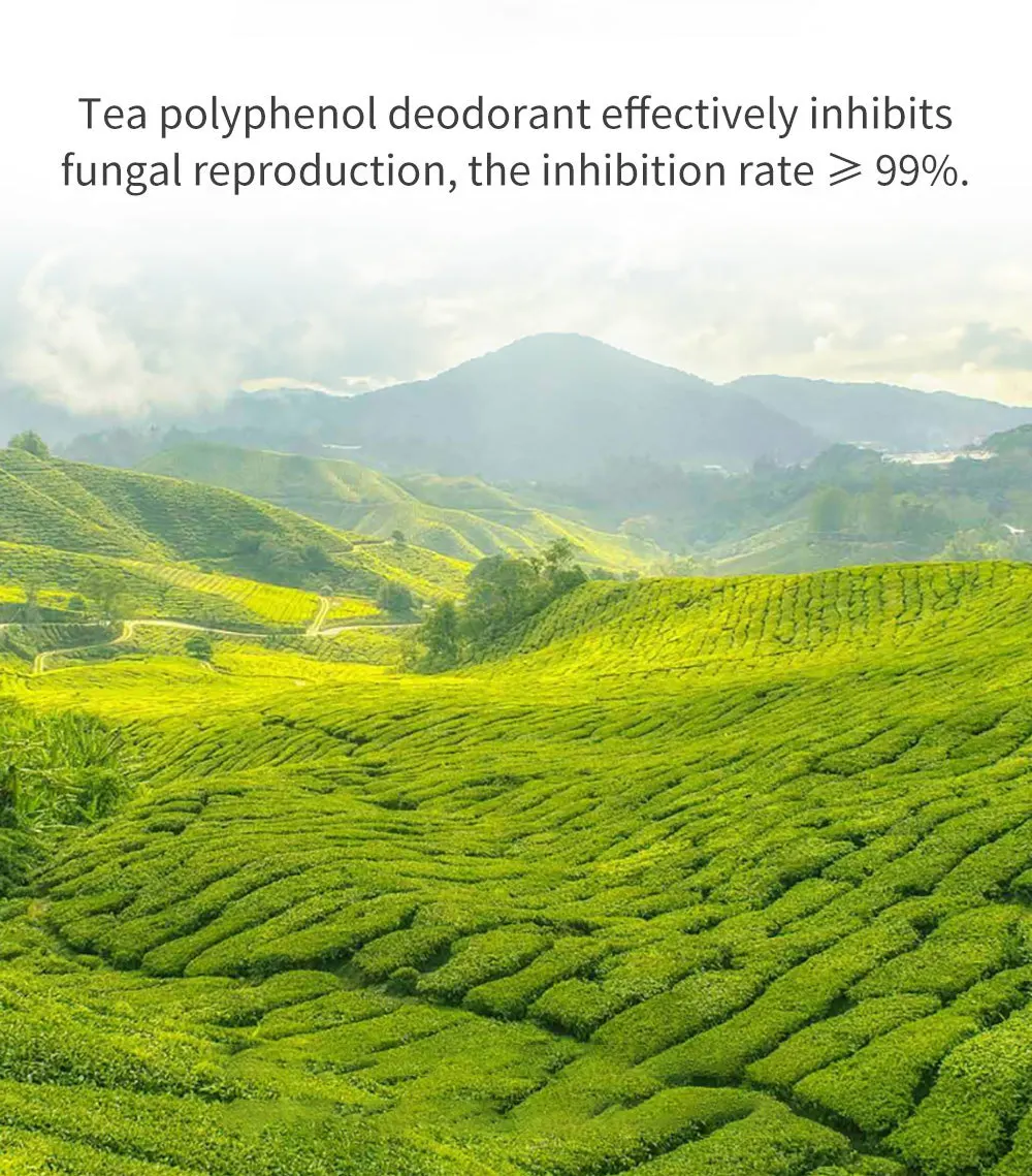 49bb25aa-16d6-445e-b031-8c5075b30f76