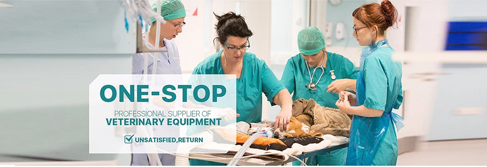 详情页-副本--改-恢复的_01