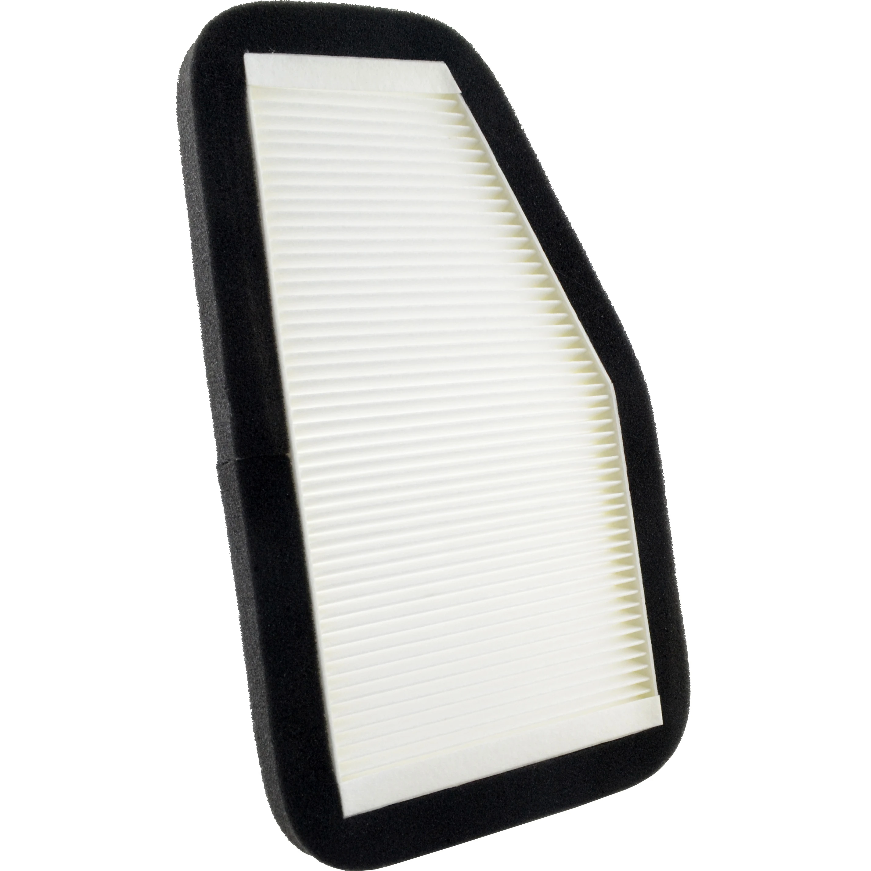 Bi-Trust Cabin Air Filter for Ford Escape Mazda Tribute Mercury Mariner CF10548 8L8Z-19N619-B FCAF1844P CAF1844C
