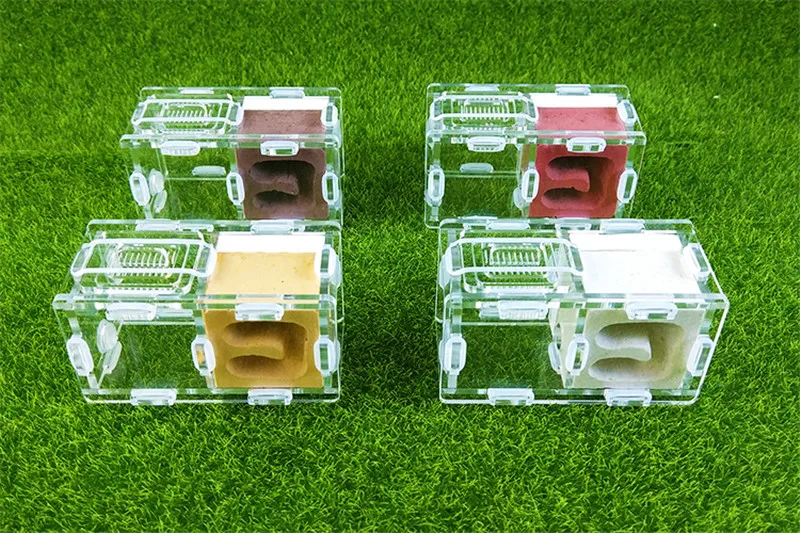 mini-ants-nest-ant-farm-acrylic-gypsum-for-young-queens-and-small-colonies-ants-house-ant