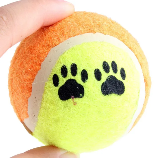 강아지를 위한 테니스 공