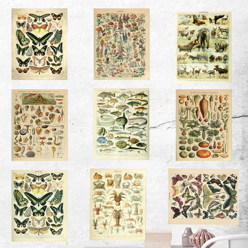 Плакат на научную тематику плакат в винтажном стиле виде бабочки слон Рыба