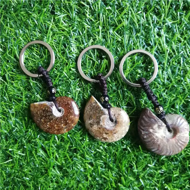 Beautiful Natural Stone Ammonite Fossils Seashell Snail keychain Ocean Reliquiae Conch Animal Necklaces Statement Men Jewellery | Украшения