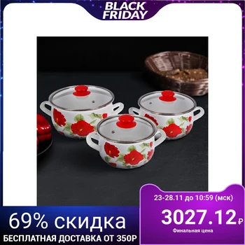 

Set of pots "Hibiscus", 3 items: 2.1 l, 3.1 l, 4 l