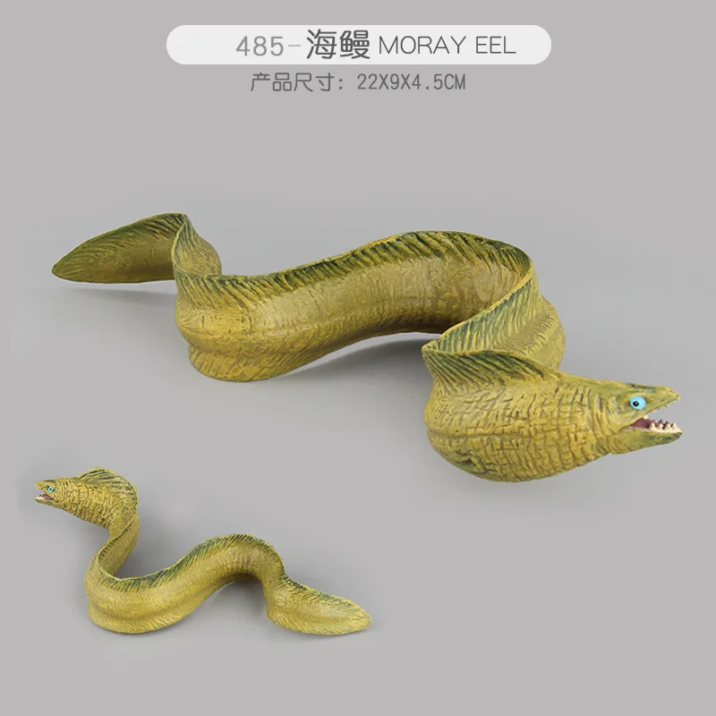 Морская жизнь животные Акула КИТ МОДЕЛЬ фигурки моделирование горбатый Белуга синий игрушечные киты подарок для детей - Цвет: Moray eel
