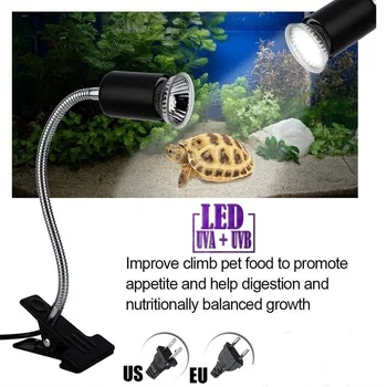 

UVB/UVA Reptile Supplies Pet Ceremic Lamp Heating Light Holder Pet Light Holder Reptile UVB Reptile Light Holder