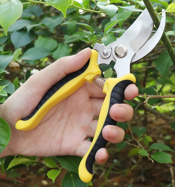 Tools Scissors Gardening Branch Shears  Gardening Tools Garden Shears -  Pruning - Aliexpress