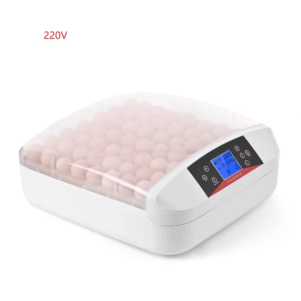 220V