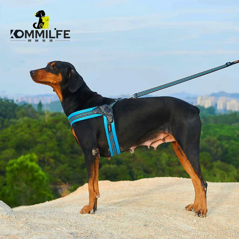Breathable Nylon Mesh Dog Harness Reflective Adjustable Dog Harness Pet Leash Accessories Pet Collar Leash for Dogs