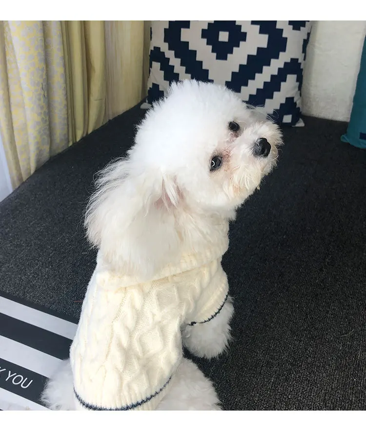 cães, Roupa encapuzada do animal de estimação, Camisola do Natal para o cão