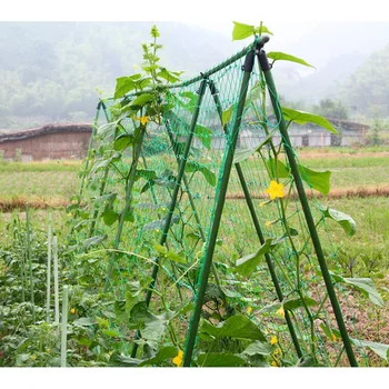 

3pcs Network Gardening Fruit Vines Flower Petunia Climbing Net Cucumber Bush Gourd Vines Net (Green 1.8x3.6m)