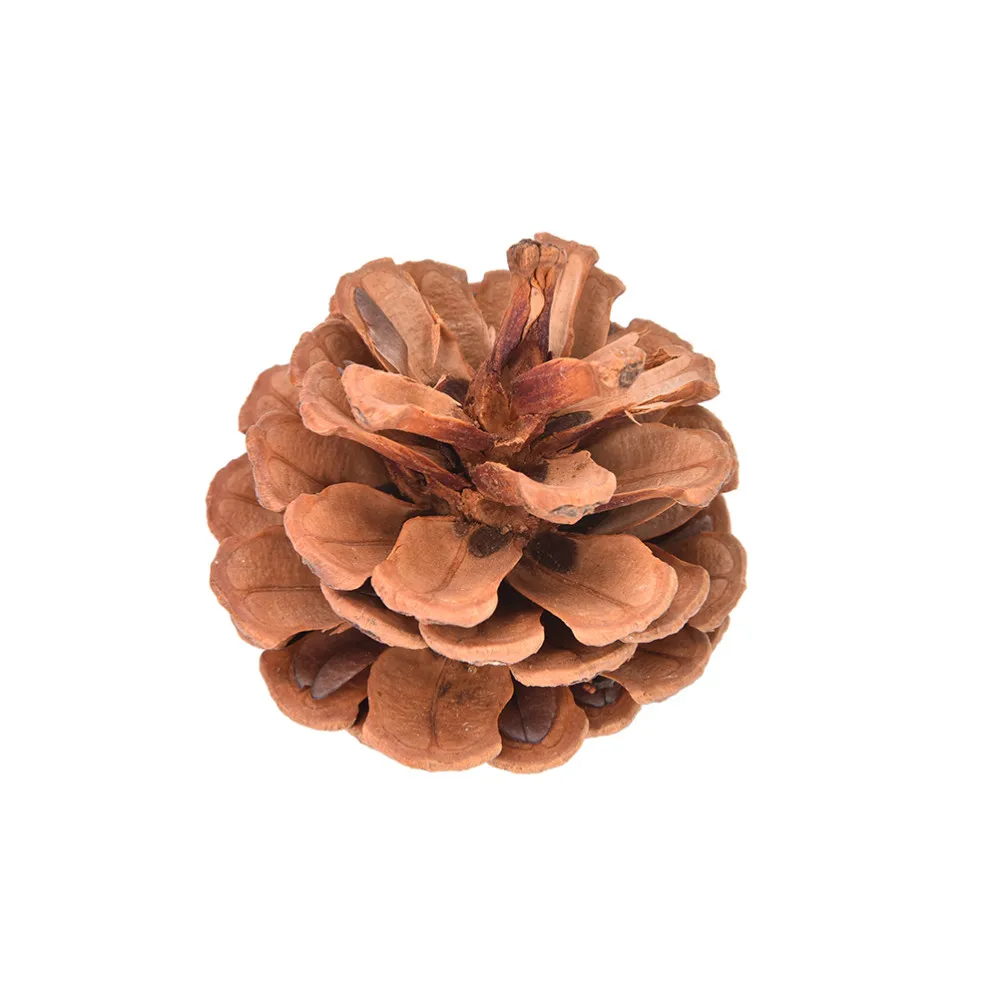 10pcs/Set Christmas Tree Hanging Pine Cones 2-7cm Wood Pinecone Balls For Home Office Party Decoration Ornament