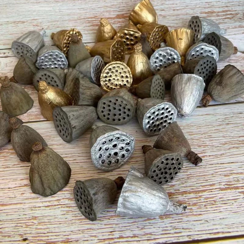 Natural Dried Flowers Seeds Seed Pod Lotus Flower Dried Flower Seed