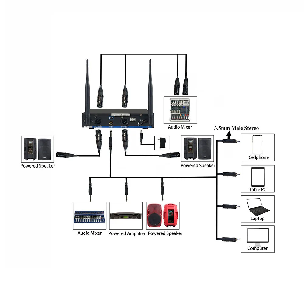 pro dual channel mics