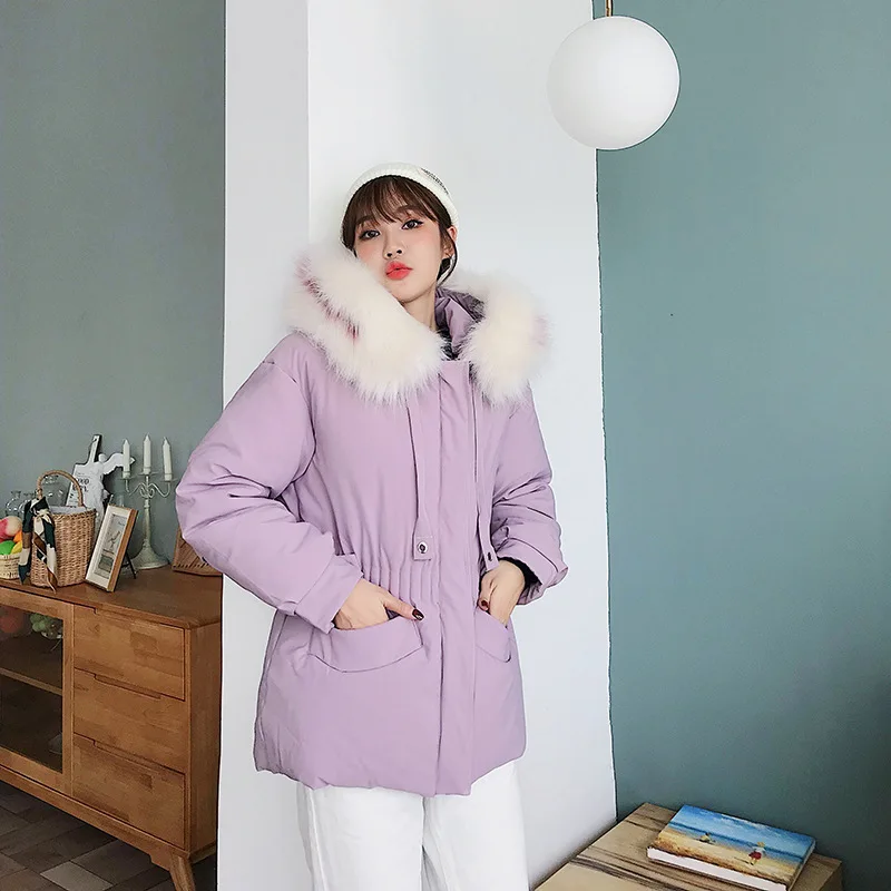 

Photo Shoot down Jacket 2019 New Style Winter Korean-style Large Fur Collar Elegant Waist Hugging Cotton-padded Clothes Student