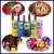 Оптовая Продажа Дети Мини Дети UHF Walkie Talkie BF-T3 Baofeng FRS Двухстороннее Радио Comunicador T3 Handy Talkie Hf Трансивер