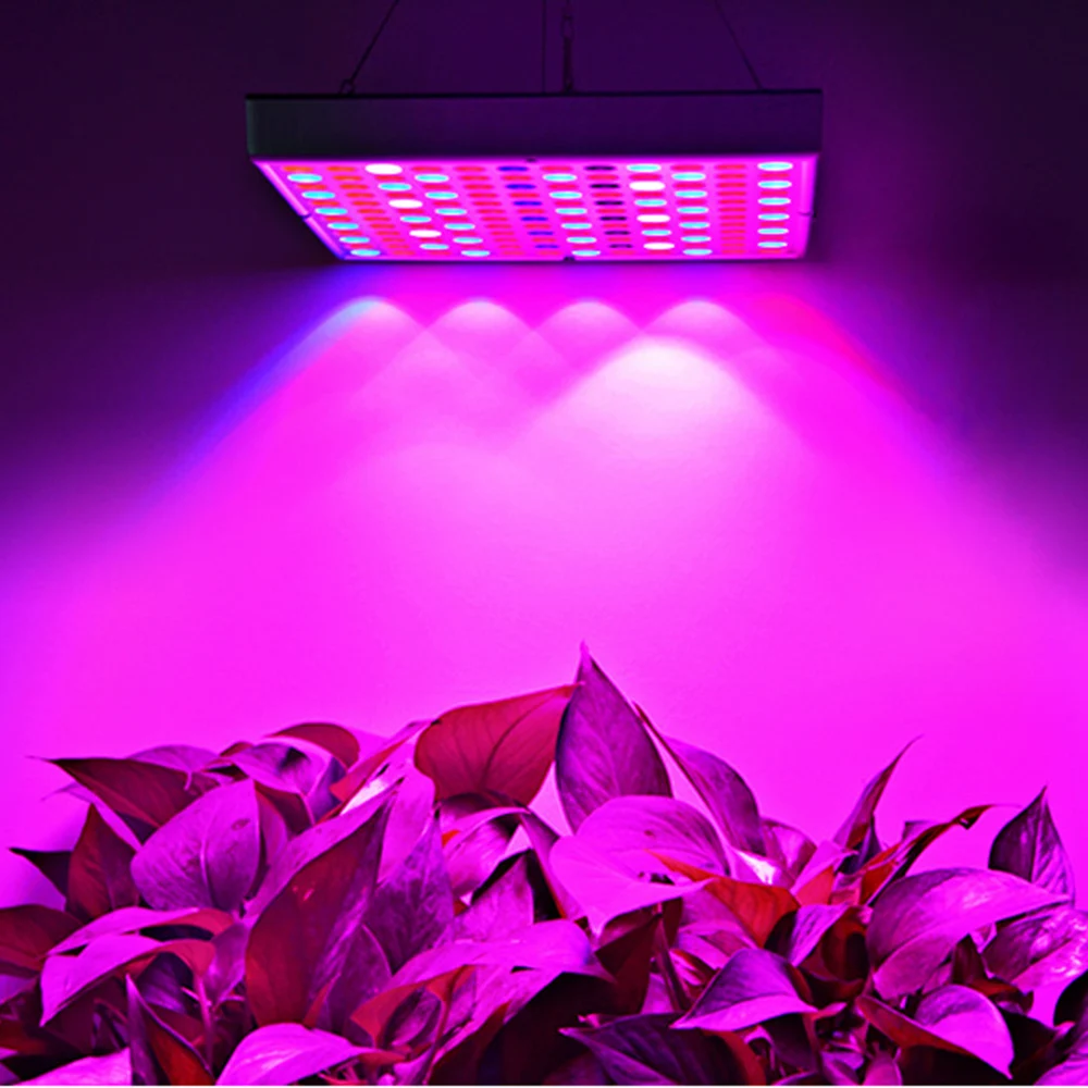 50 Вт/90 Вт светодиодный освещение для выращивания растений полный спектр для парник, теплица для выращивания рассада растений и цветок