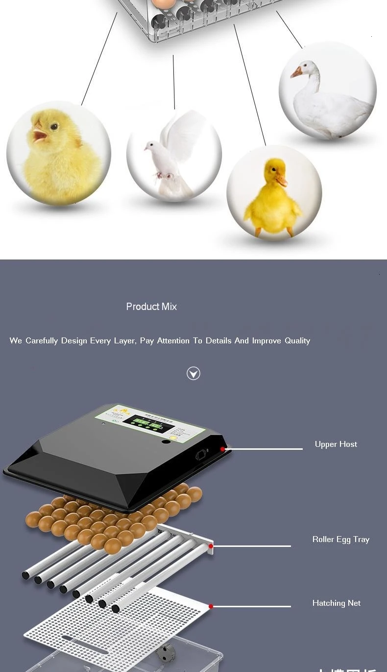 Incubator Automatic Small Household Type Mini Incubator Small Egg Hatching Box Chicken Duck Goose Incubator