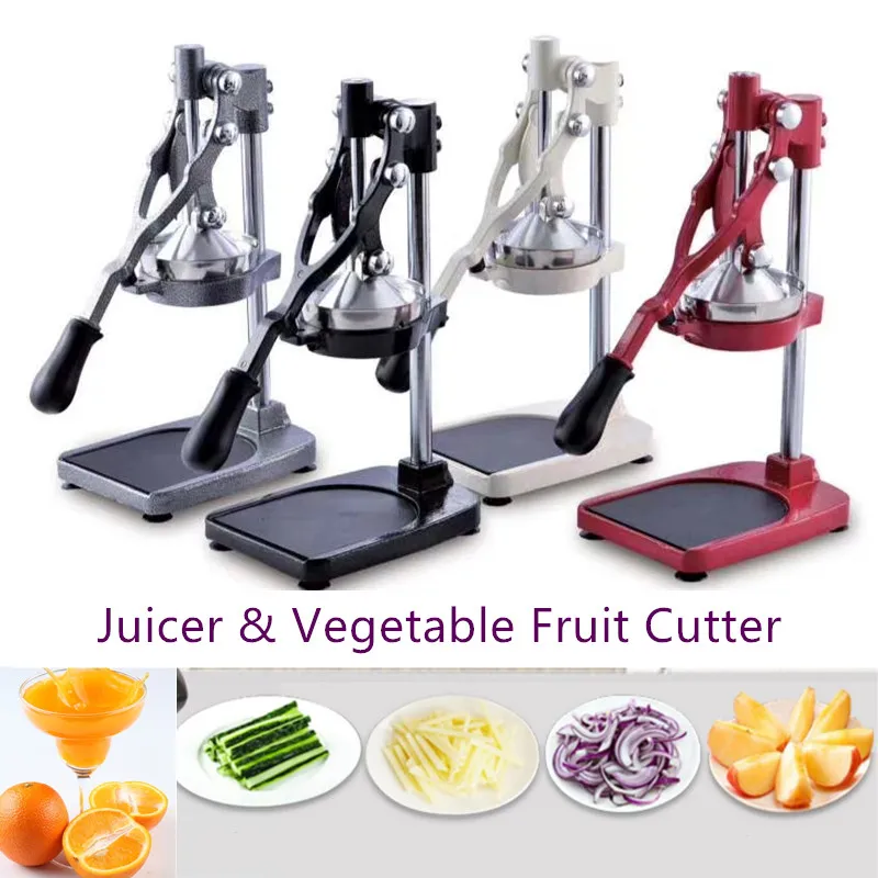 multifunction juicer (2)