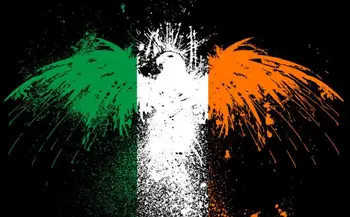 

3x5ft custom New Irish banner 3x5ft polyester with bird art flags