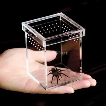 

Reptile Acrylic Cage Breeding Habitat Lizard Snake Amphibian Frog Spider Box